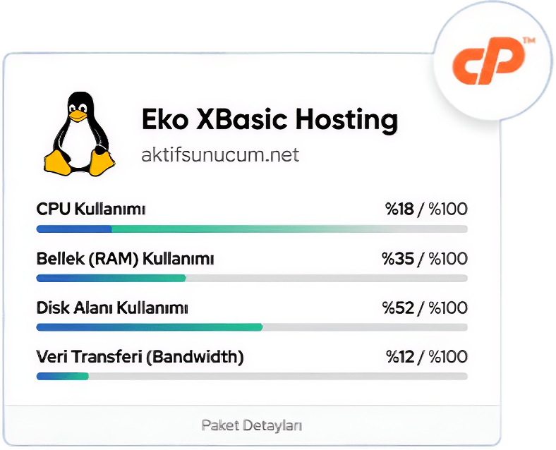 Ekonomik Hosting