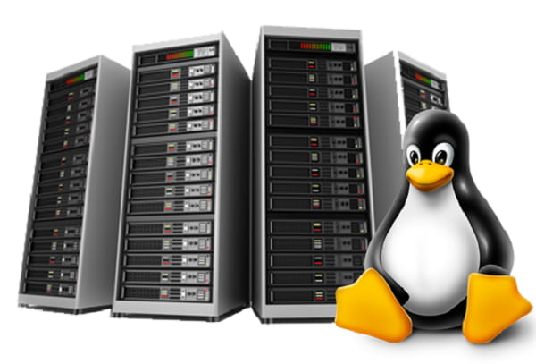 Web Hosting